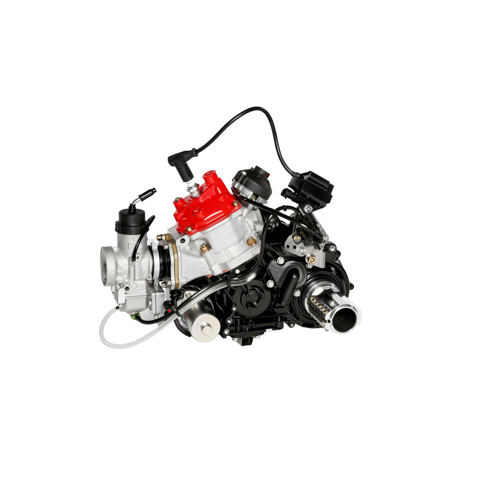 Rotax ROTAX 125 DD2 EVO COMPLETE