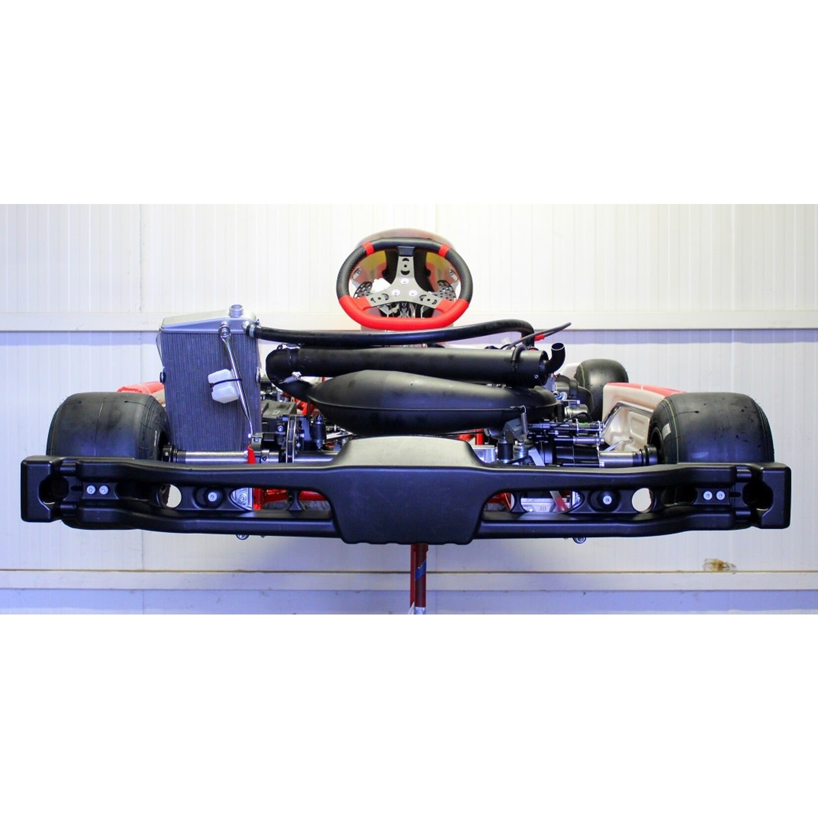 birel BIREL CRY30 DD2 “new” vintage model with Rotax dd2 evo II Engine