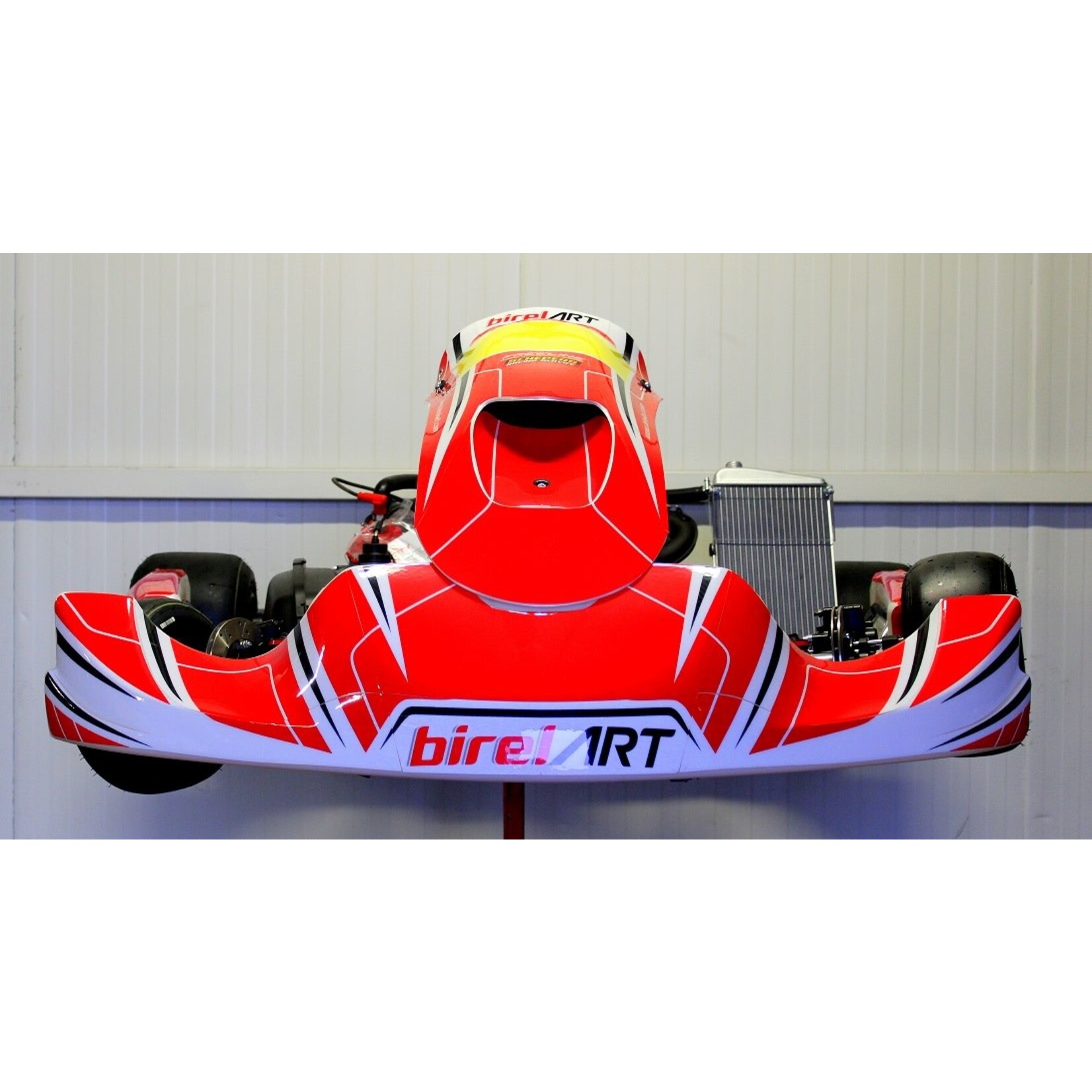 birel BIREL CRY30 DD2 “new” vintage model with Rotax dd2 evo II Engine