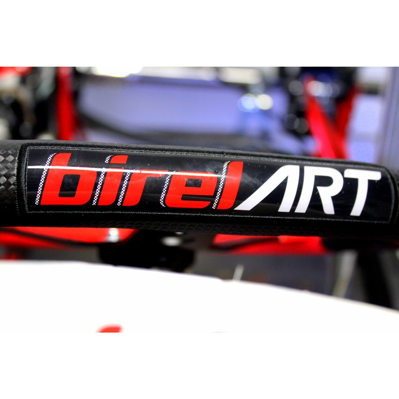birel BIREL CRY30 DD2 “new” vintage model with Rotax dd2 evo II Engine