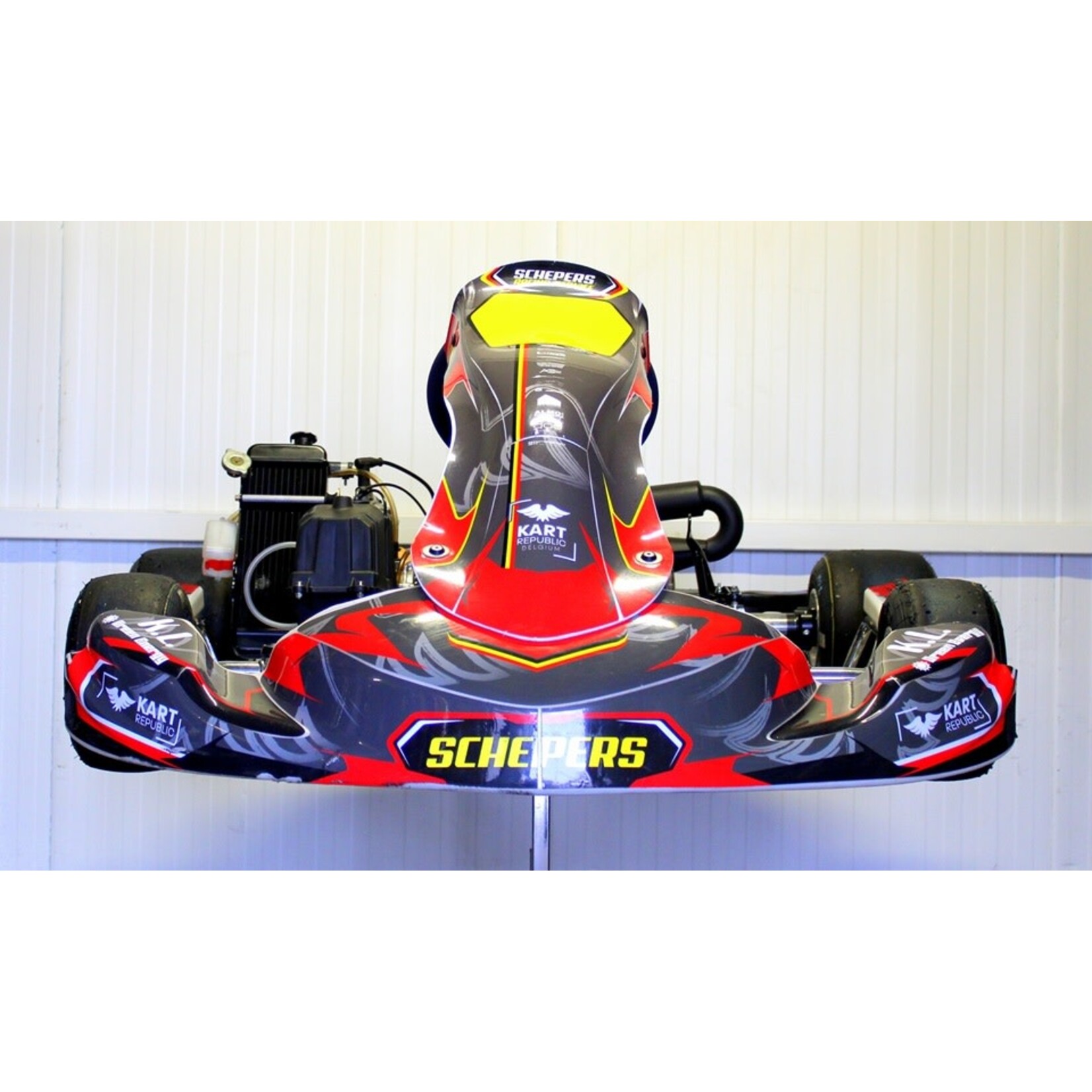 Fernando Alonso ALONSO kart with ROTAX MAX Non EVO engine