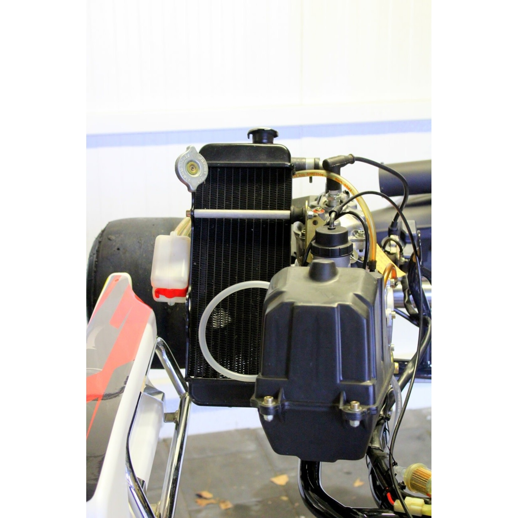 Fernando Alonso ALONSO kart with ROTAX MAX Non EVO engine