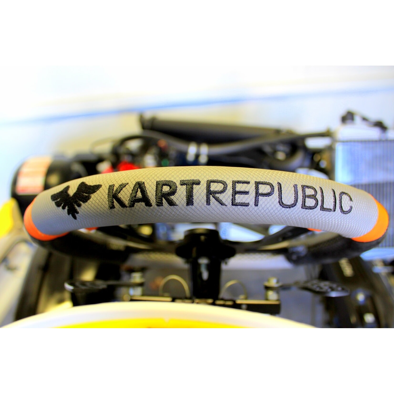 Kart Republic Kart Republic with ROTAX DD2 Evo2 engine