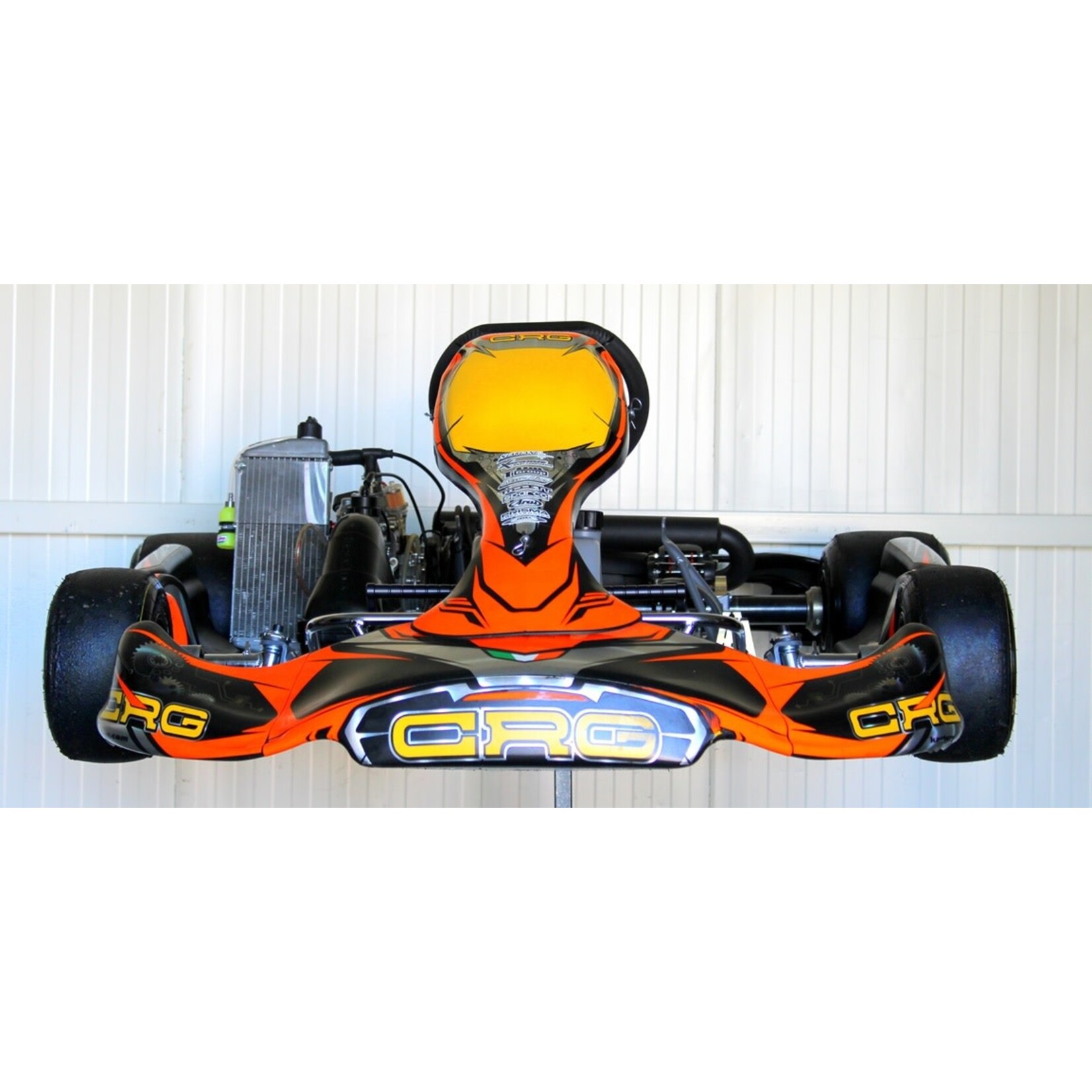 CRG CRG / Zanardi-Kart mit Rotax Senior Motor NON EVO
