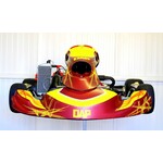 DAP NIEUWE DAP Kart met NIEUWE Rotax Max Senior EVO2 Motor