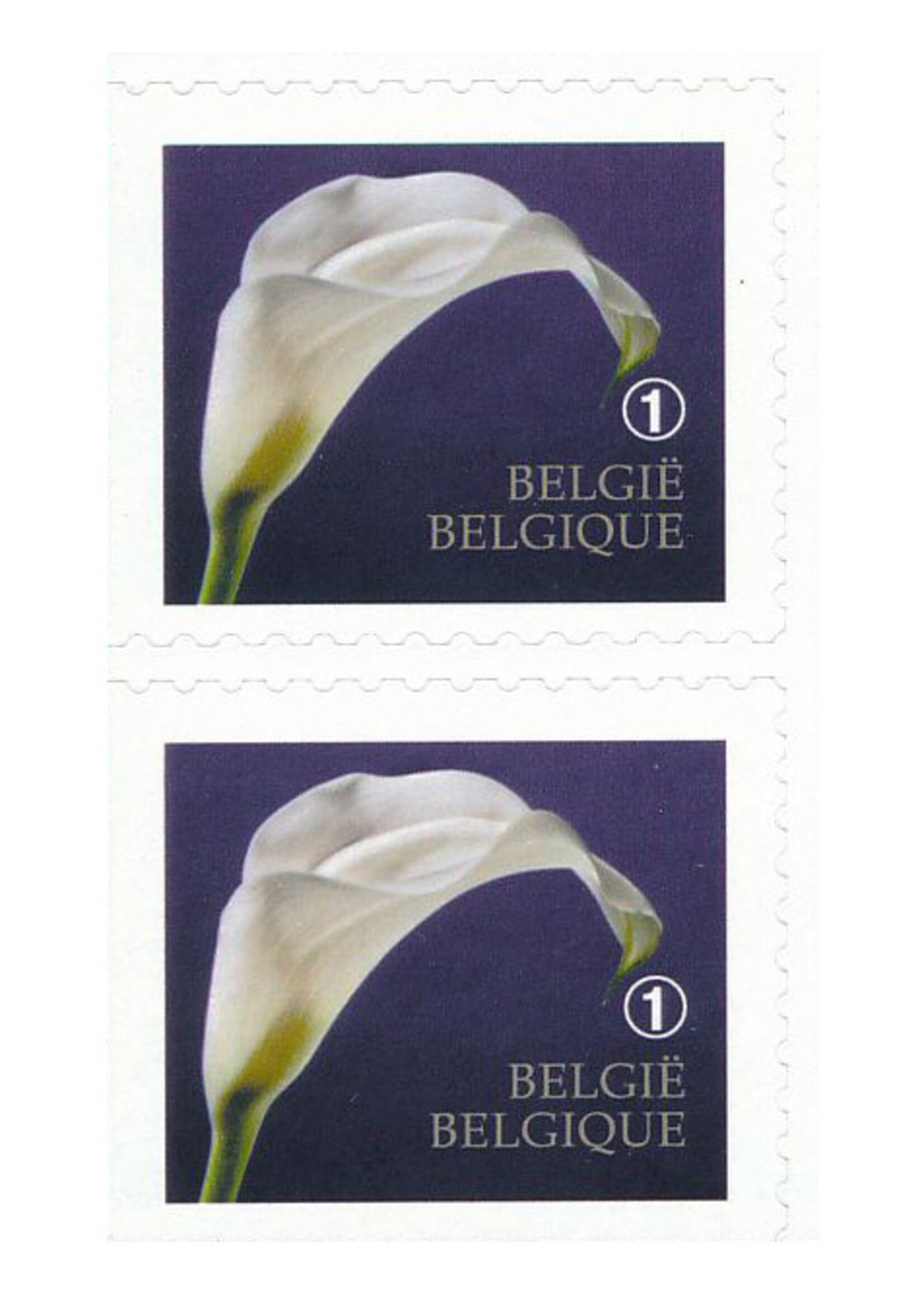 Thème Deuil - Carnet de 10 timbres autocollants - Tarif 1, Belgique