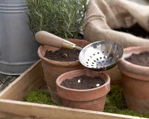 Klaar voor het voorjaar - 4 tips voor een groene tuin in de lente!