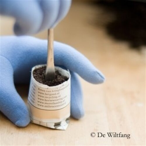 Sneeboer Verspeenlepeltje - Verspenen zaailingen - RVS