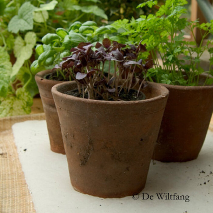 De Wiltfang Watermat voor bloempotten - Natmat