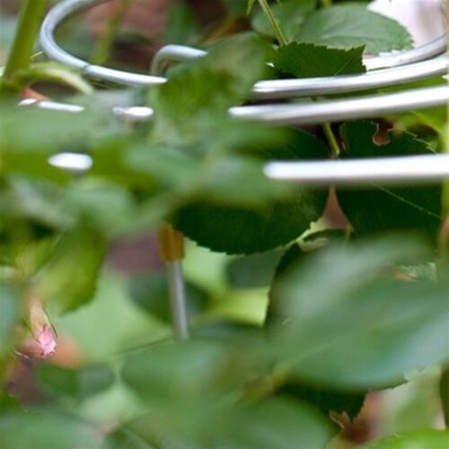 De Wiltfang Plantsteun Spiraalmodel - Laag - 3 stuks