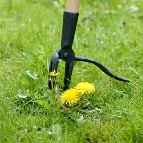 De Wiltfang Penworteltrekker - 110 cm