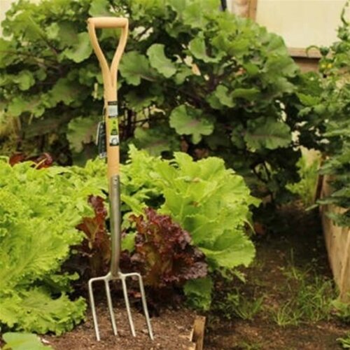 Burgon & Ball RHS Spitvork - 4 Tanden - 111 cm