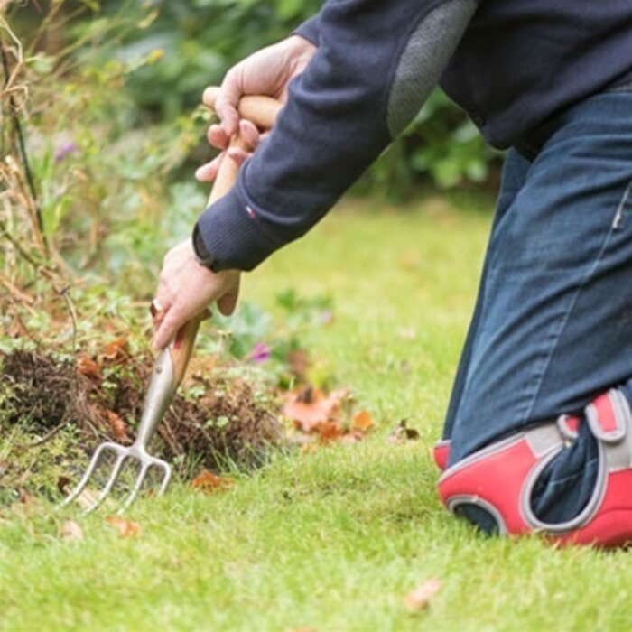 Sneeboer Zevenbladvorkje - 4 tanden - 52 cm