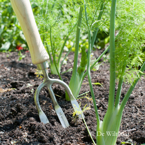 Sneeboer Handrooivorkje 3 tanden
