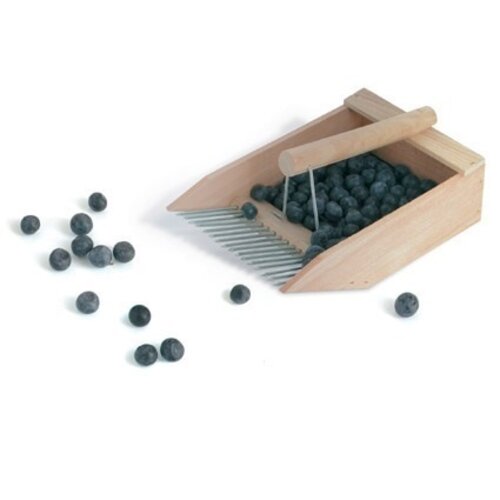 De Wiltfang Bosbessenplukker