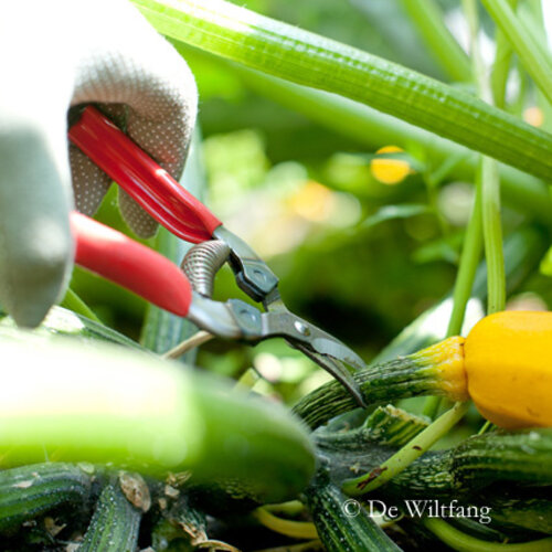 ARS Dunschaar - Gebogen oogstschaar