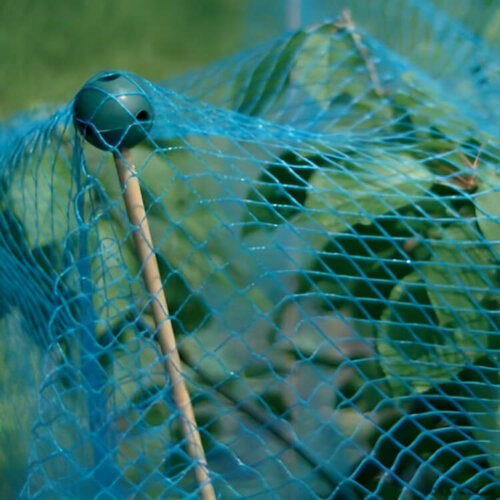 Meuwissen Agro Vogelnet - Blauw - bescherming planten