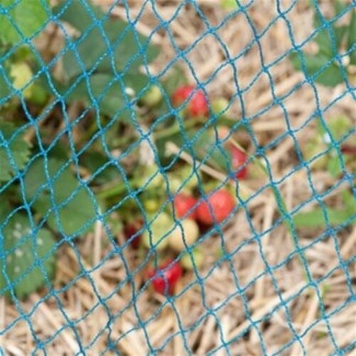 Meuwissen Agro Vogelnet - Blauw - bescherming planten