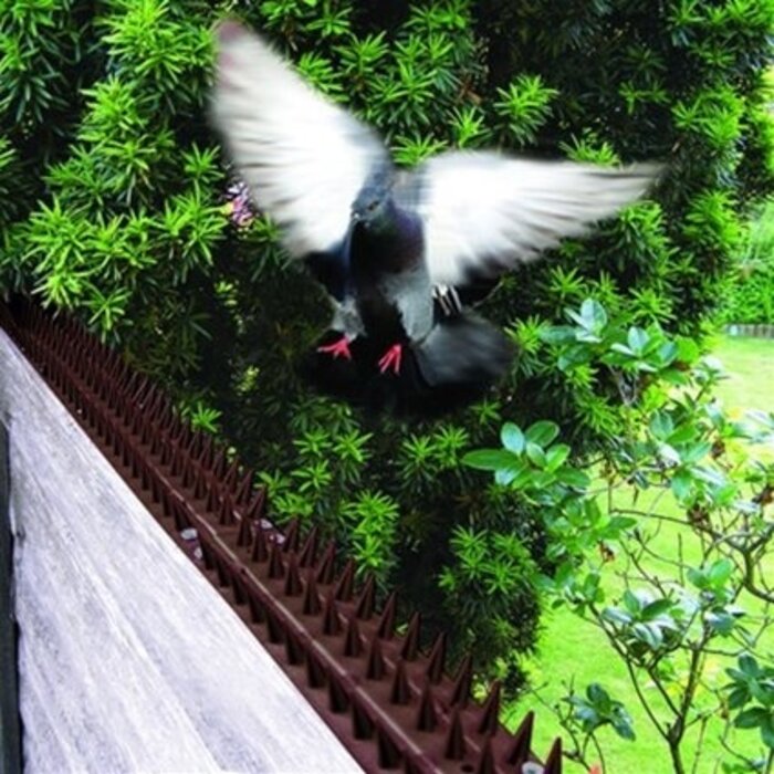 Tildenet Anti kattenpinnen - 3 m - 6 stuks van 0,5 m