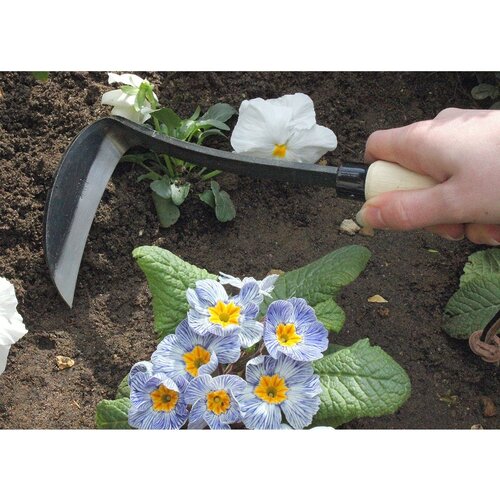 Burgon & Ball RHS Schrepel - Koolstofstaal