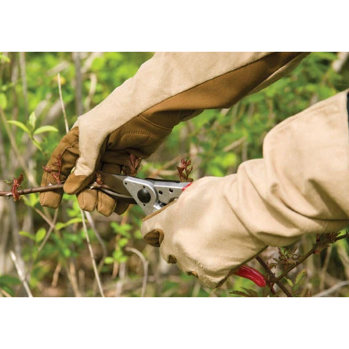 Foxgloves Rozenhandschoenen - Gauntlet - Doorn bestendig