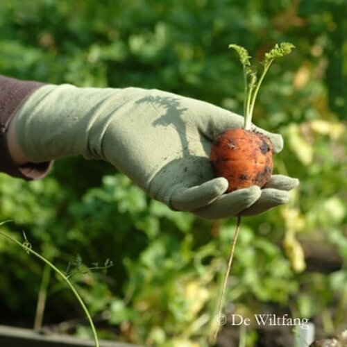 Foxgloves Tuinhandschoenen - Mosgroen - S t/m L