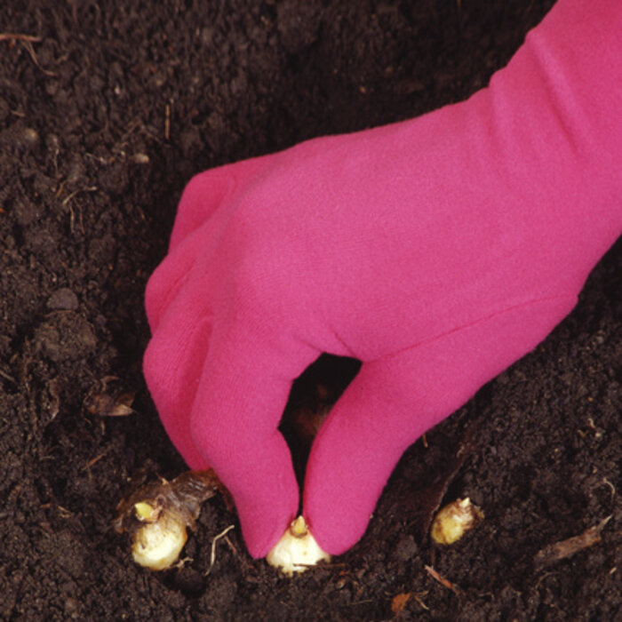 Foxgloves Original tuinhandschoenen - Roze - Maat S t/m L - Waterbestendig