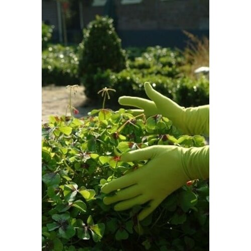 Foxgloves Grip limoengroen - Waterbestendig - Supplex nylon - Maat S t/m L