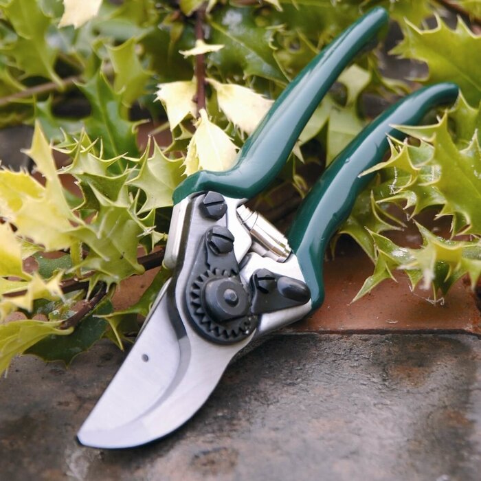 Burgon & Ball RHS Snoeischaar - Kleine handen