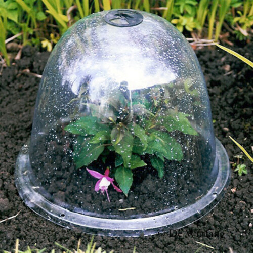 Haxnicks Plantenstolpen - Victorian Bell - 3 stuks