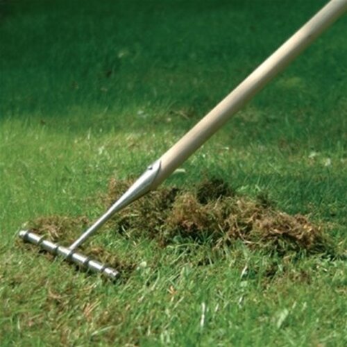 Sneeboer Verticuteerhark 6 tanden - 170 cm