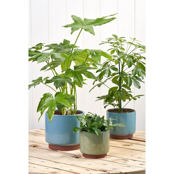 Burgon & Ball Malibu bloempot - 3 kleuren - Geglazuurd steen