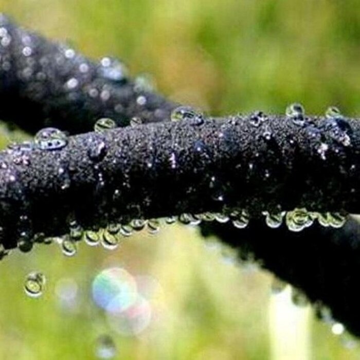 Alfapore Druppelslang - Per meter - 1/2" - Zwart