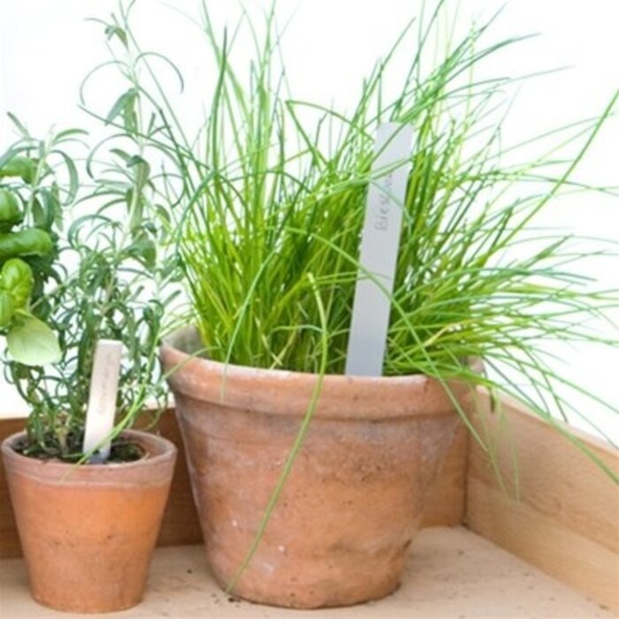 De Wiltfang Steeketiketten recht 20 cm - 10 stuks