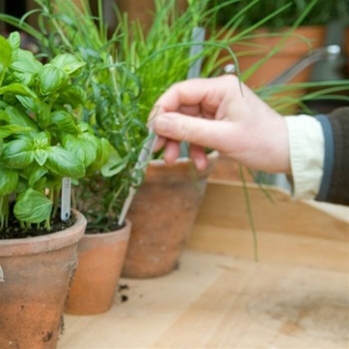 De Wiltfang Steeketiketten recht - Aluminium - 15 cm - 10 stuks