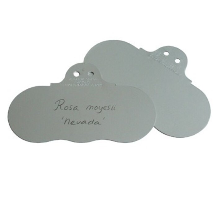 De Wiltfang Victoriaanse hanglabels - 10 stuks