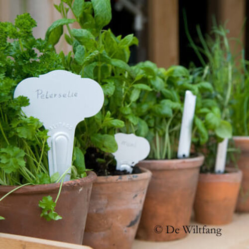 De Wiltfang Steeketiket Victoriaans 6 cm - Aluminium - 10 stuks