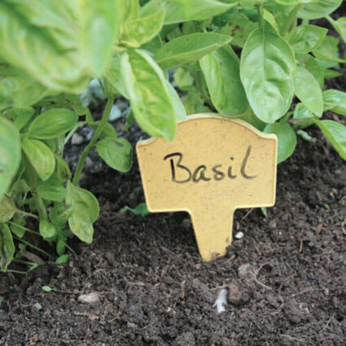 Haxnicks Bamboe plantlabels - 3 stuks - Composterbaar