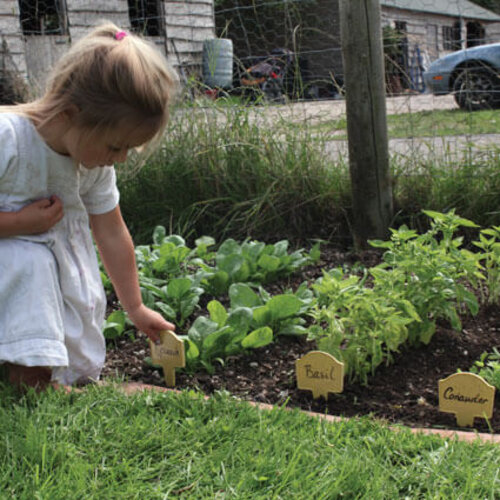 Haxnicks Bamboe plantlabels - 3 stuks - Composterbaar