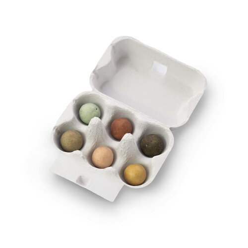 Blossombs Eierdoosje - 6 zaadbommetjes - Bijen en vlinders