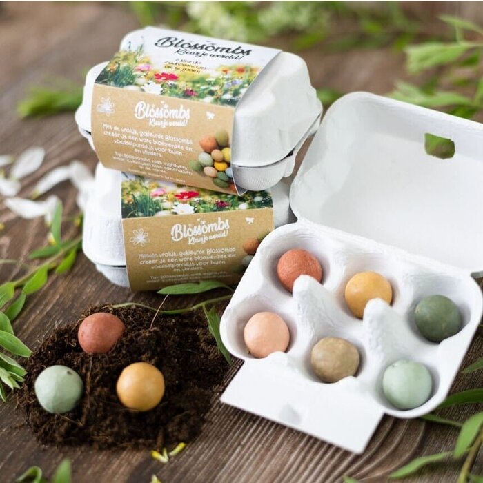 Blossombs Eierdoosje - 6 zaadbommetjes - Bijen en vlinders