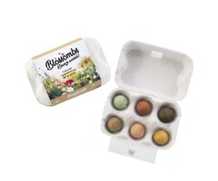 Blossombs Eiderdoosje - 6 zaadbommetjes - Bijen en vlinders
