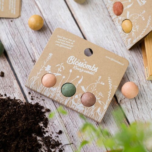Blossombs Weggeefcadeautje - 3 zaadbommetjes - Wilde bloemzaden