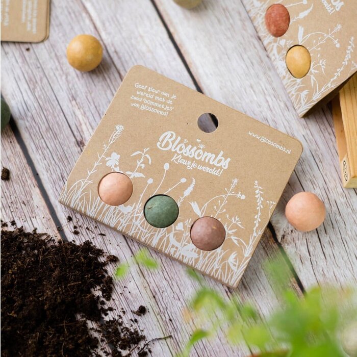 Blossombs Weggeefcadeautje - 3 zaadbommetjes - Wilde bloemzaden
