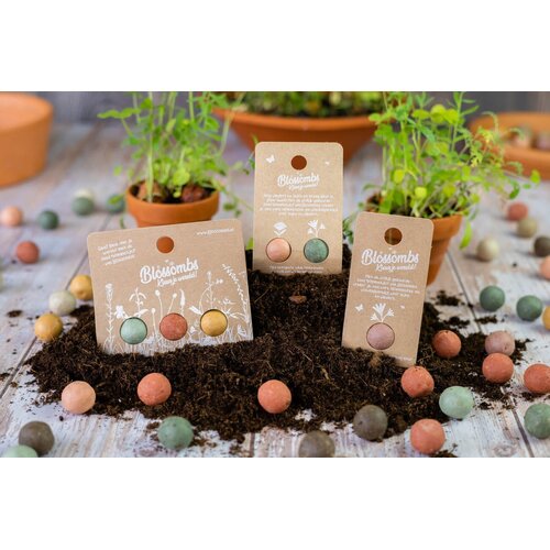 Blossombs Weggeefcadeautje - 3 zaadbommetjes - Wilde bloemzaden