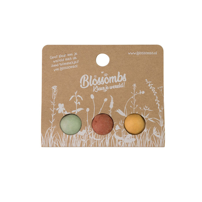 Blossombs Weggeefcadeautje - 3 zaadbommetjes - Wilde bloemzaden