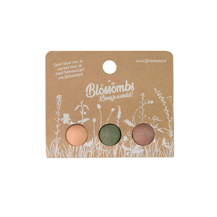 Blossombs Weggeefcadeautje - 3 zaadbommetjes - Wilde bloemzaden