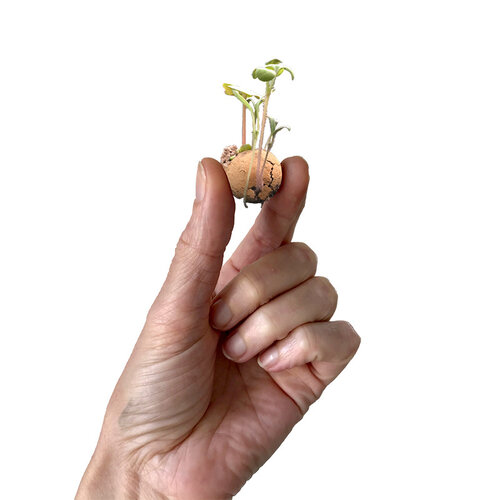 Blossombs Jute cadeauzakje - 8 zaadbommetjes