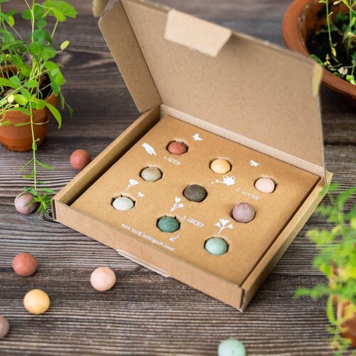 Blossombs Geschenkdoos medium - 9 zaadbommetjes