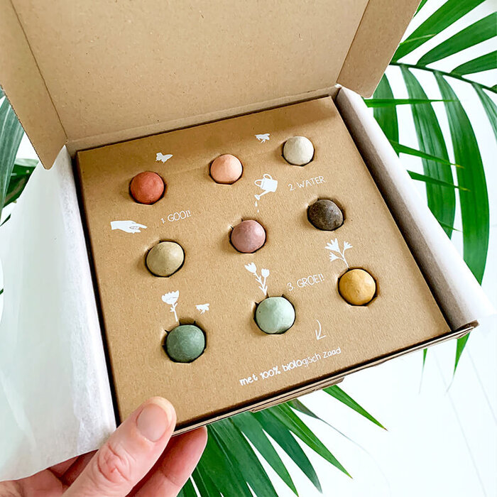 Blossombs Geschenkdoos medium - 9 zaadbommetjes